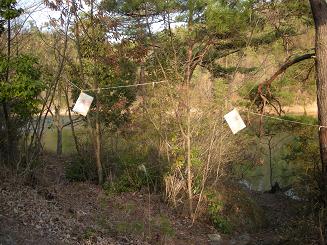 亀岡の野池 京都の週末アングラー